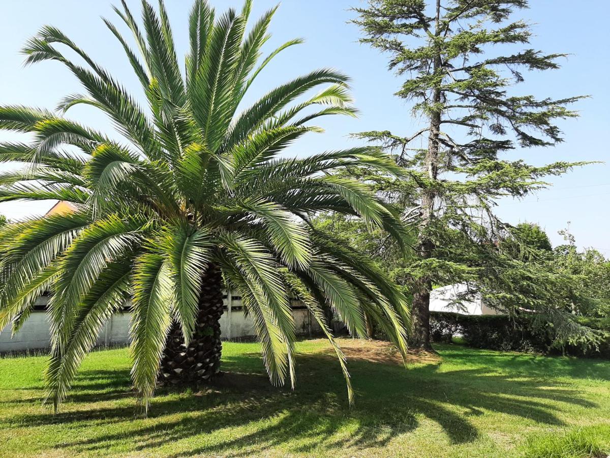 Casa De Verano La Gaviota En Asturias Villaviciosa  Eksteriør bilde
